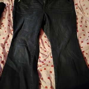 Torrid flare jeans